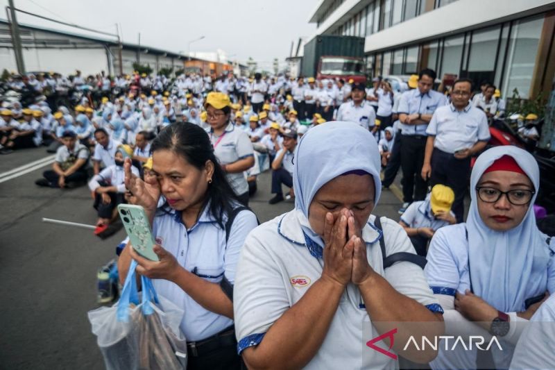 Pengamat: Danantara bisa dipertimbangkan sebagai investor Sritex