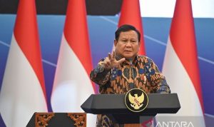 Pemerintah andalkan APBN hingga Danantara di tengah gejolak ekonomi