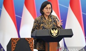 Menkeu sederhanakan regulasi guna jaga ekonomi dari turbulensi global