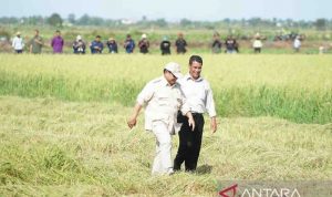 Mentan dampingi Presiden kunjungan Kenegaraan ke Yordania