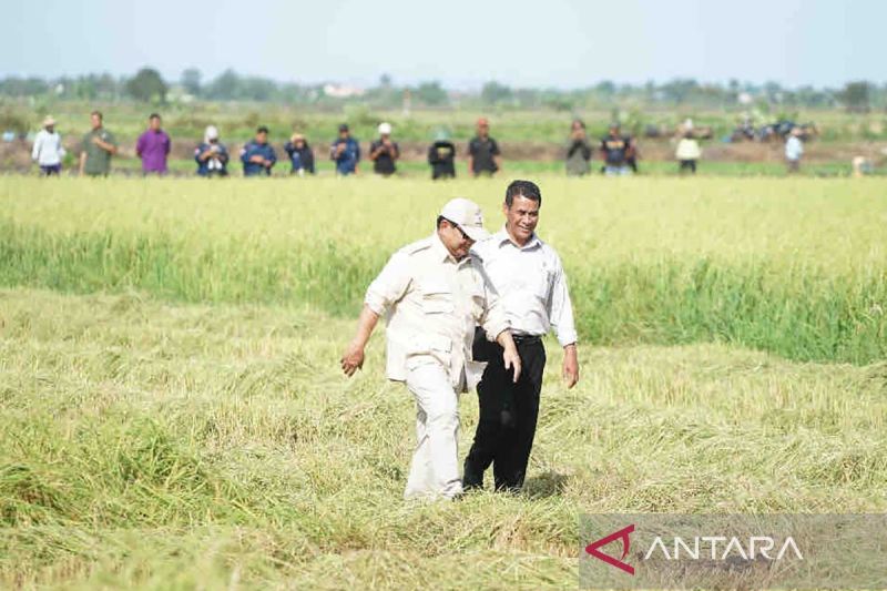 Mentan dampingi Presiden kunjungan Kenegaraan ke Yordania