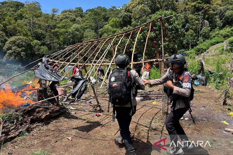 Bareskrim Polri bongkar 25 hektare ladang ganja di Aceh