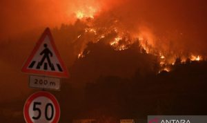 Kebakaran hutan juga terjadi di beberapa kawasan di Turki