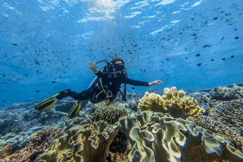 Wonderful Indonesia Diving Directory jadi rujukan penyelam profesional