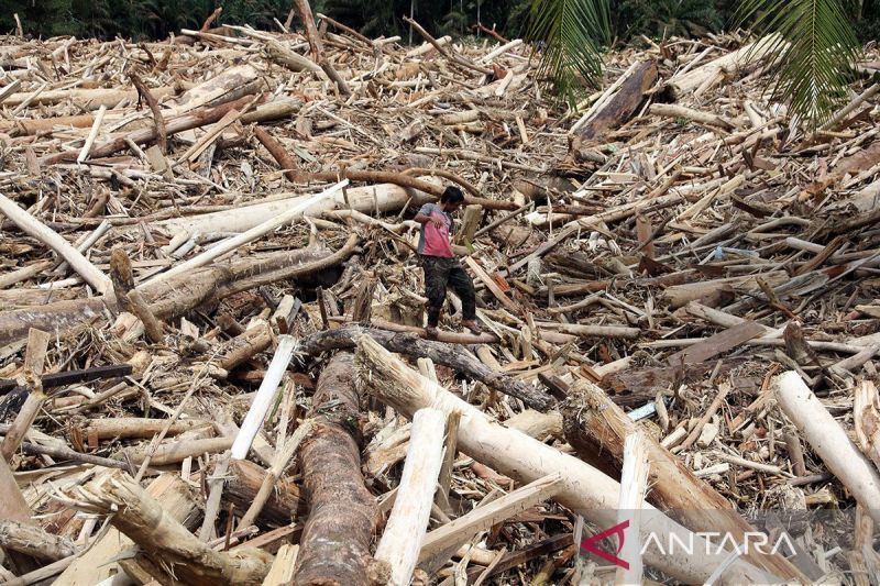 KLH selidiki sumber kayu dan faktor banjir Sumatera
