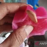 Kasus es gabus, Kapolres sebut ada pembinaan bagi Bhabinkamtibmas