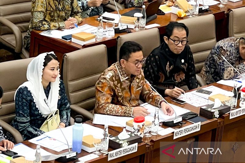 RI masuk lima besar negara eksportir besi-baja dunia berkat hilirisasi