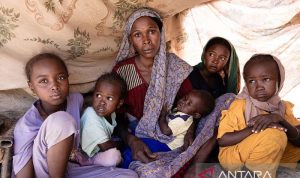 Laporan PBB: 21 juta lebih warga Sudan terancam kelaparan
