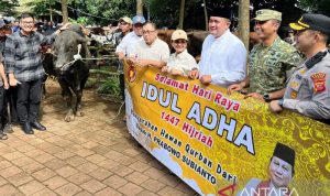 Presiden Prabowo bagikan 109 hewan kurban untuk tetangga di Bogor