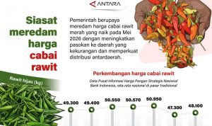 Siasat meredam harga cabai rawit