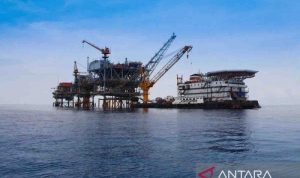 Pengamat nilai riset energi ASEAN penting hadapi ancaman pasokan