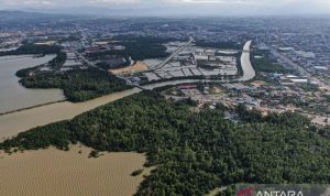 Kemenhut tegaskan peluang investasi kehutanan untuk perdagangan karbon