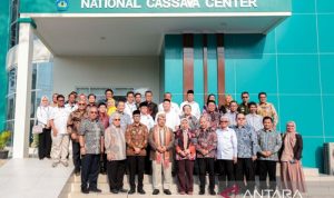 Menteri PPN: Pengembangan singkong di Indonesia miliki prospek besar