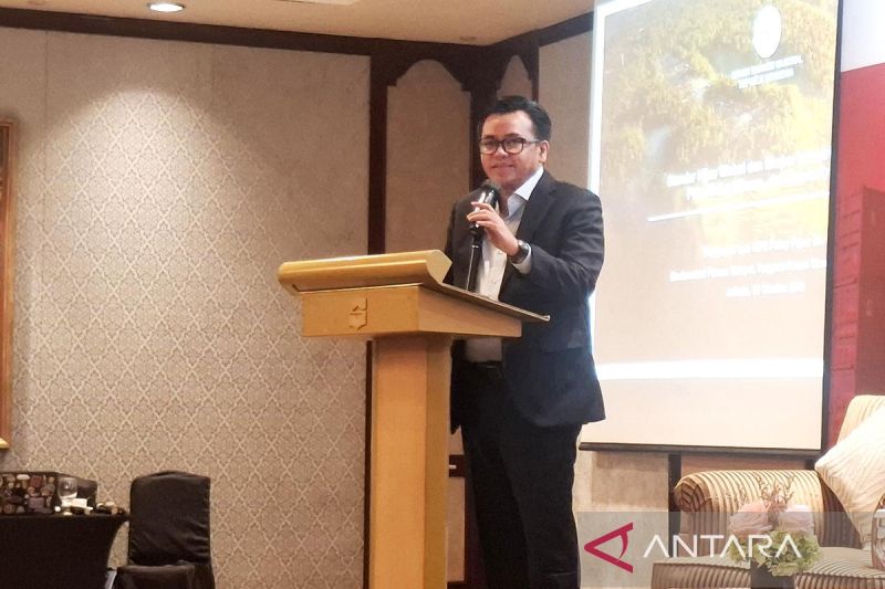 DEN ungkap rencana uji coba subsidi listrik lewat transfer langsung