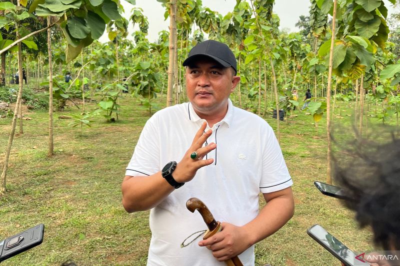 KPK dalami dugaan potongan insentif ASN saat periksa Bupati Bogor