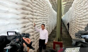 CORE nilai Dua tahun Prabowo-Gibran dorong kuatkan produksi pangan RI