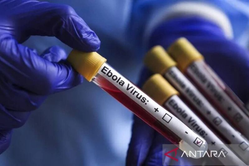 Kasus Ebola di Kongo tembus 9.144